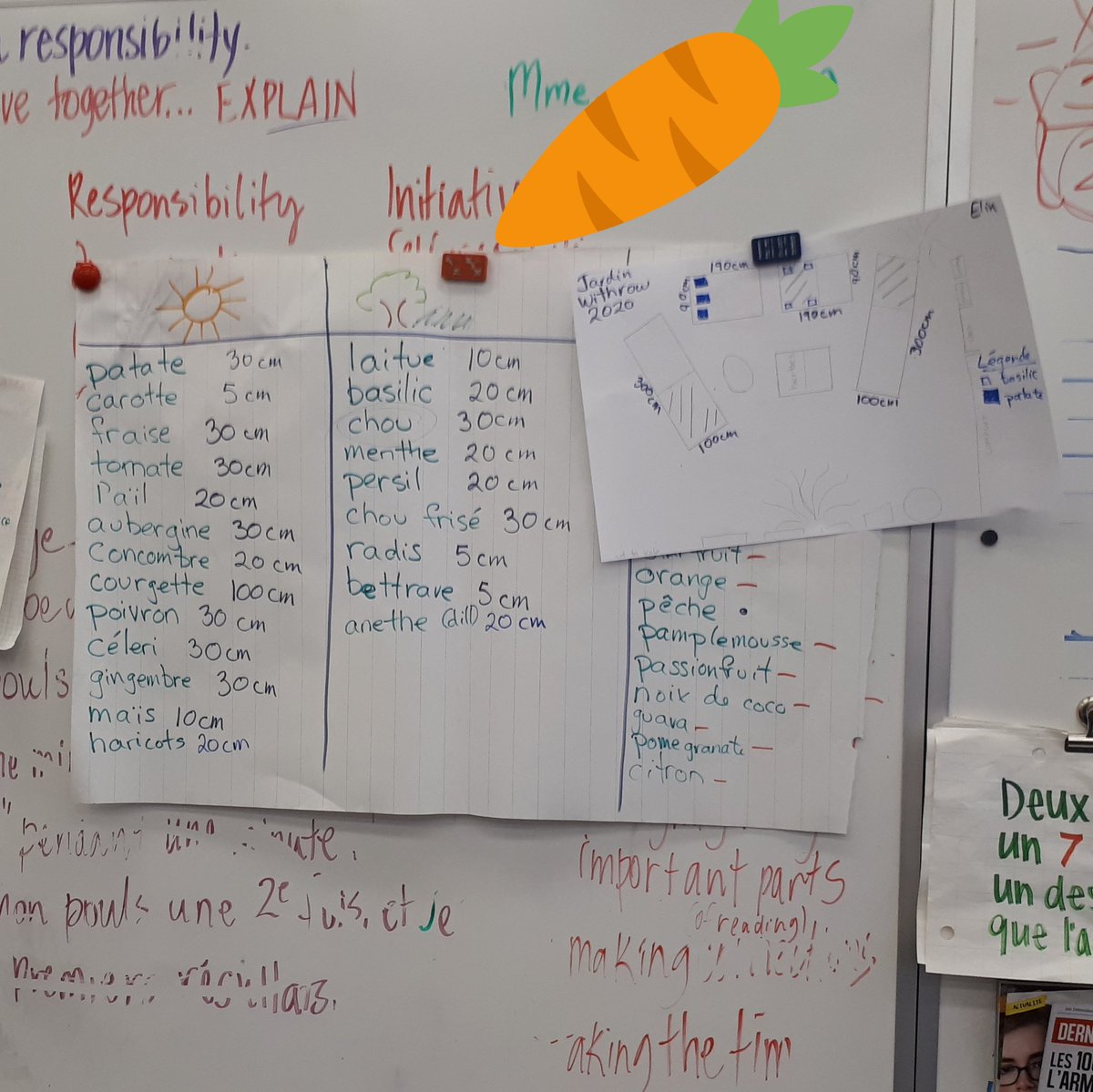 seedlingstories's tweet photo. Garden planning with gr 5/6s in rm 343. I have to research the possibility of growing ginger - that would be interesting! @TDSB_Withrow @WithrowHandS #schoolgarden #gardeningwithkids #mapping #gardenmapping #gardenmath #mathiseverywhere #STEM #gardenplanning https://t.co/PbJ6xS9h2K