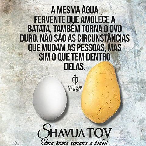 Johnnybispo39's tweet photo. @conexaocristao https://t.co/wNGOB8NPRL