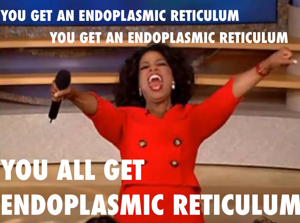radticulum's tweet photo. When youre in plant and animal cells #livingthatgoodlife #spreadtheERlove #oprah #yourewelcome https://t.co/Brv2dSfiII
