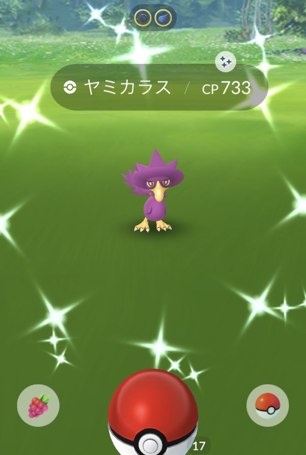 𝚗𝚊𝚗𝚊 𝚃𝙻𝟺𝟺 ヤミカラスまた光った オスメス揃った ヤミカラス色違い ポケモンgo T Co Iowmv1rtb4 Twitter