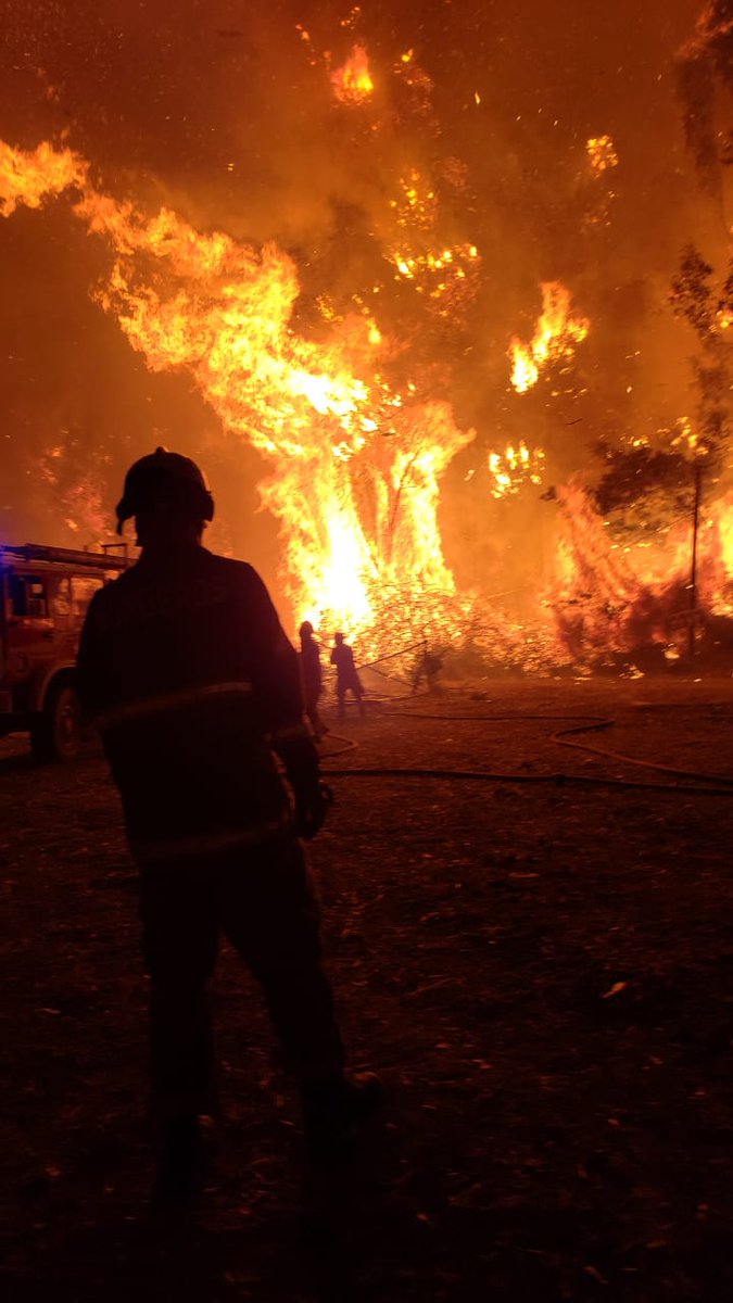 A ESTA HORA: Impactantes imágenes del trabajo de Bomberos Valparaíso en los INCENDIOS. Fotos <a href="/mscheidv/">Miguel Scheid Vila</a> cc <a href="/T13/">T13</a> <a href="/24HorasTVN/">24 Horas</a> <a href="/meganoticiascl/">Meganoticias</a> <a href="/biobio/">BioBioChile</a>