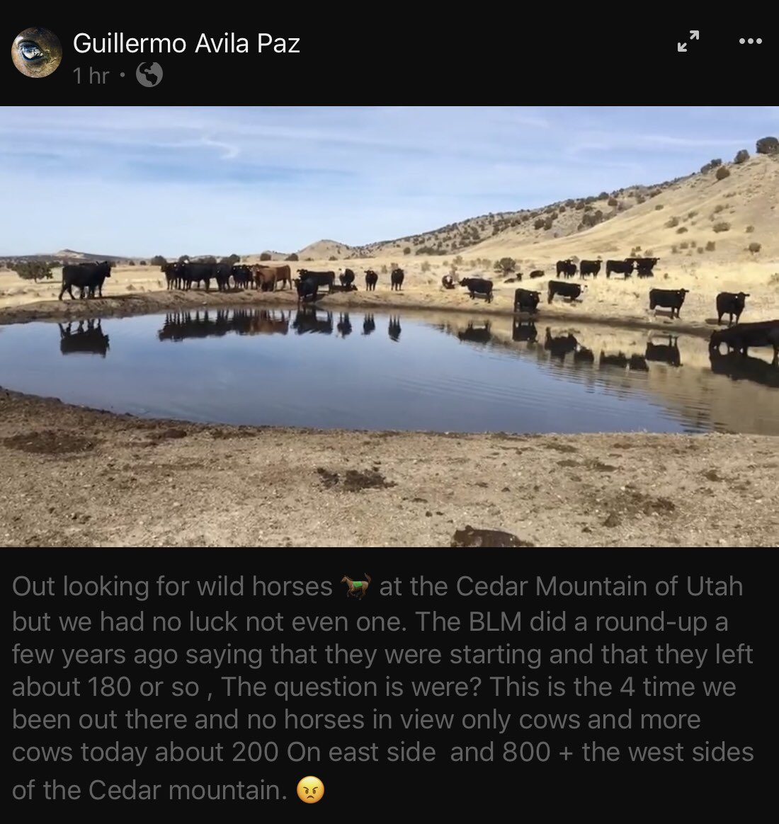 Blueequus775's tweet photo. Thank you for documenting this, Guillermo. Itโs beyond sad and completely wrong to see only livestock in wild horse HMAs. Thanks, โBeef Land Management.โ #StopTheRoundups #CountTheCows
Video๐๐ผ
https://t.co/x715emJp2z https://t.co/yu4tqR8Wbw