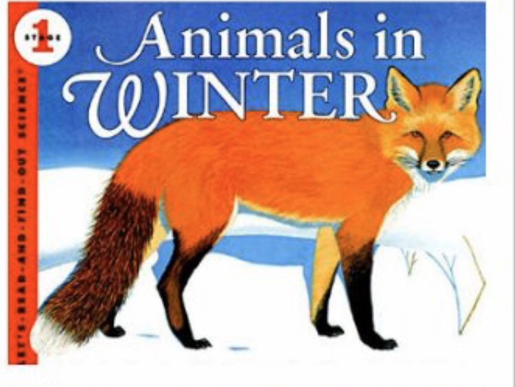 FDK101Valentine's tweet photo. To finish off our unit on seasonal changes, we listened to a story about how animals prepare for Winter! ❄️ 🦅 🐻 🐍 🐿 #AnimalsInWinter #SeasonalChanges @ValentineDPCDSB https://t.co/1uc3UVvlbt