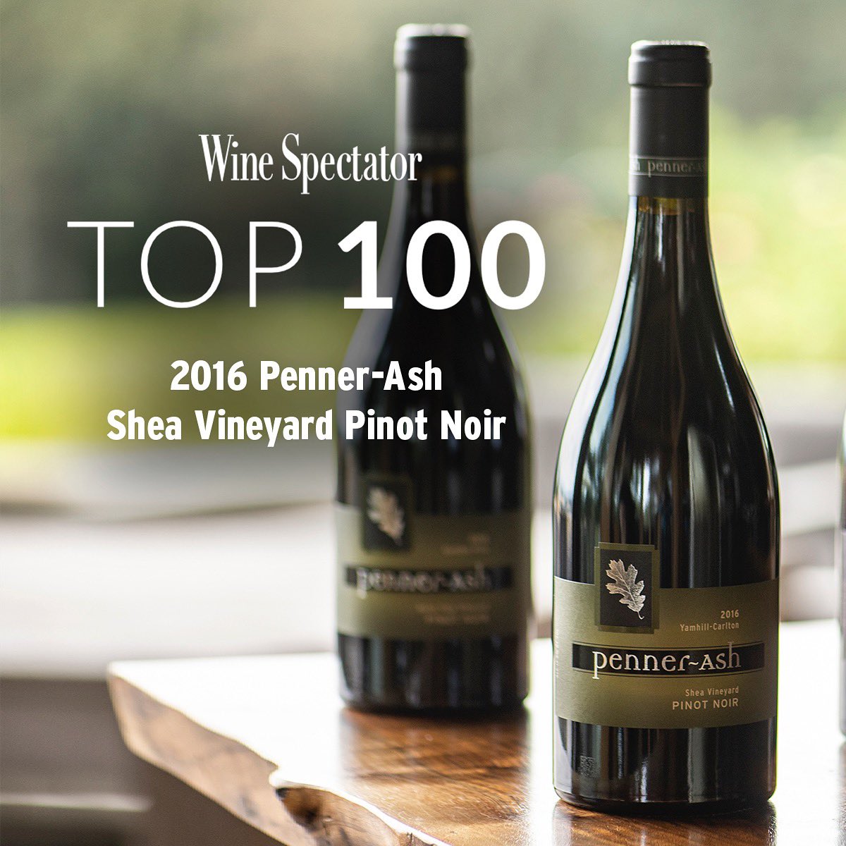 PennerAsh Wine on Twitter "We are honored to announce that our 2016 Shea Vineyard Pinot Noir