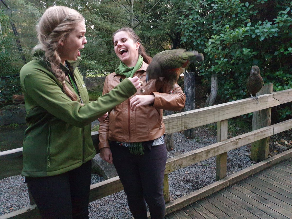 Big news - for the next 6mths I'm Regional Director Operations for the Eastern Sth Isl of DOC! Leaving you in very safe hands w my teammate Erica as Acting Threatened Species Ambassador- she'll be giving a voice to the biodiversity crisis &amp; how we can do our bit for conservation.