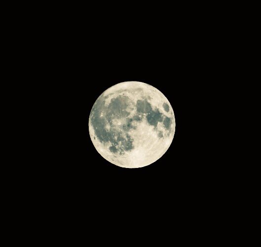 Ray Prestegard tweet media