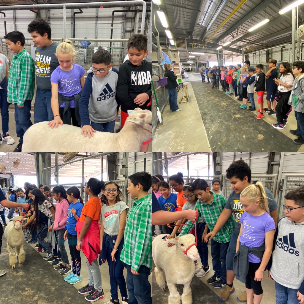 Mrs_LGarcia's tweet image. We had such a fun trip to the AG Barn. We had an amazing time and had AWESOME presenters. @DeerParkFFA   #5thGrade @DPISD_DWE #homemadeButter #pictureswitha🐮