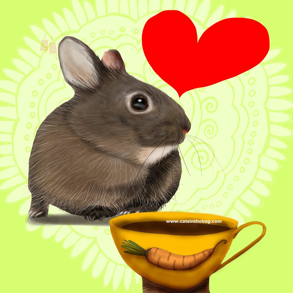 catsinthebagpur's tweet photo. What my #coffee says Nov 18 - spread your love and light to others! #volcanorabbit #rabbitlovers #rabbits #coffeelovers #illustrator #storyteller #endangered #lightupthedarkness #love #loveiseverywhere #loverabbits #mondaymotivation https://t.co/YRSGRkm75x