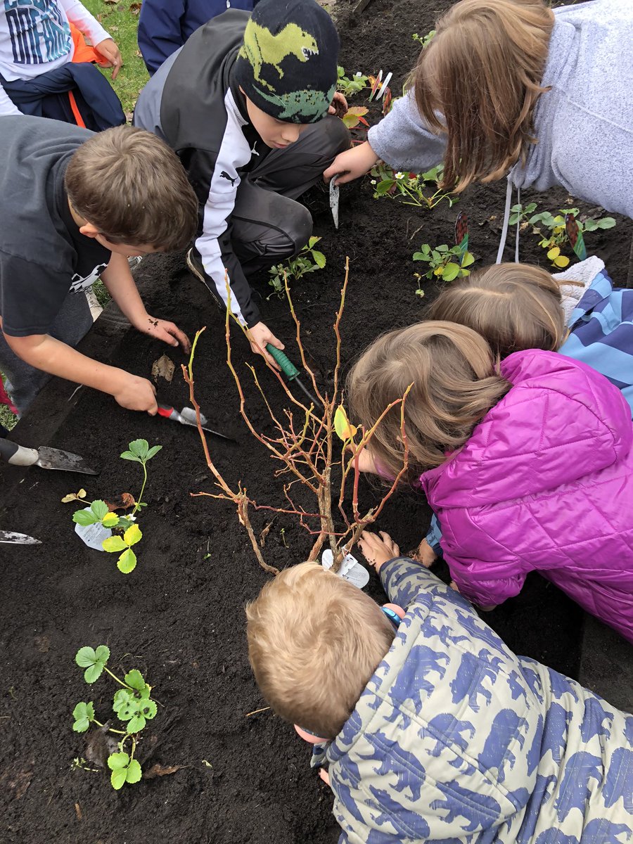 Eastview Elementary tweet media