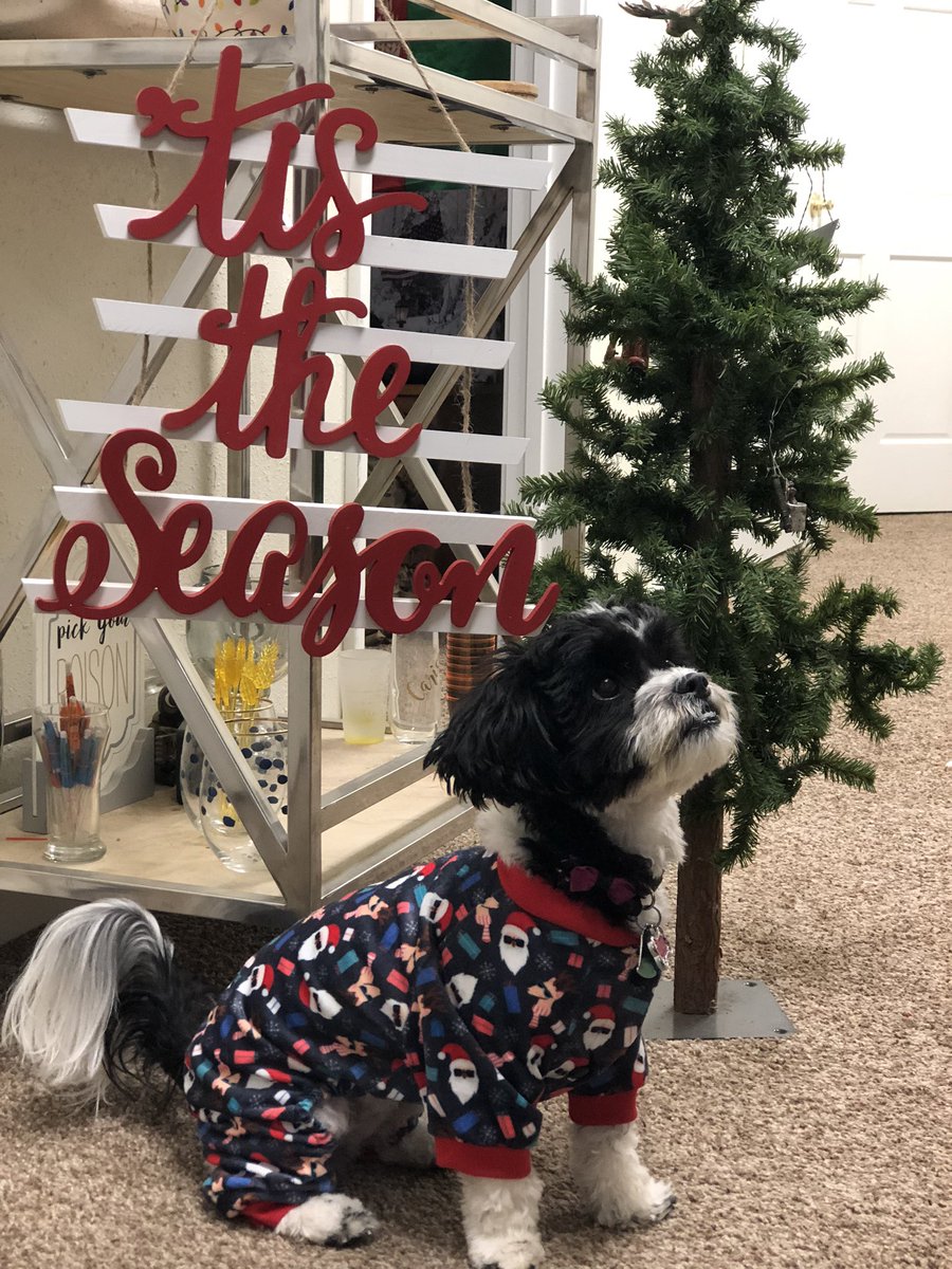 Caristmas's tweet image. She thought she heard Santa ❤️ #PrincessPoppy