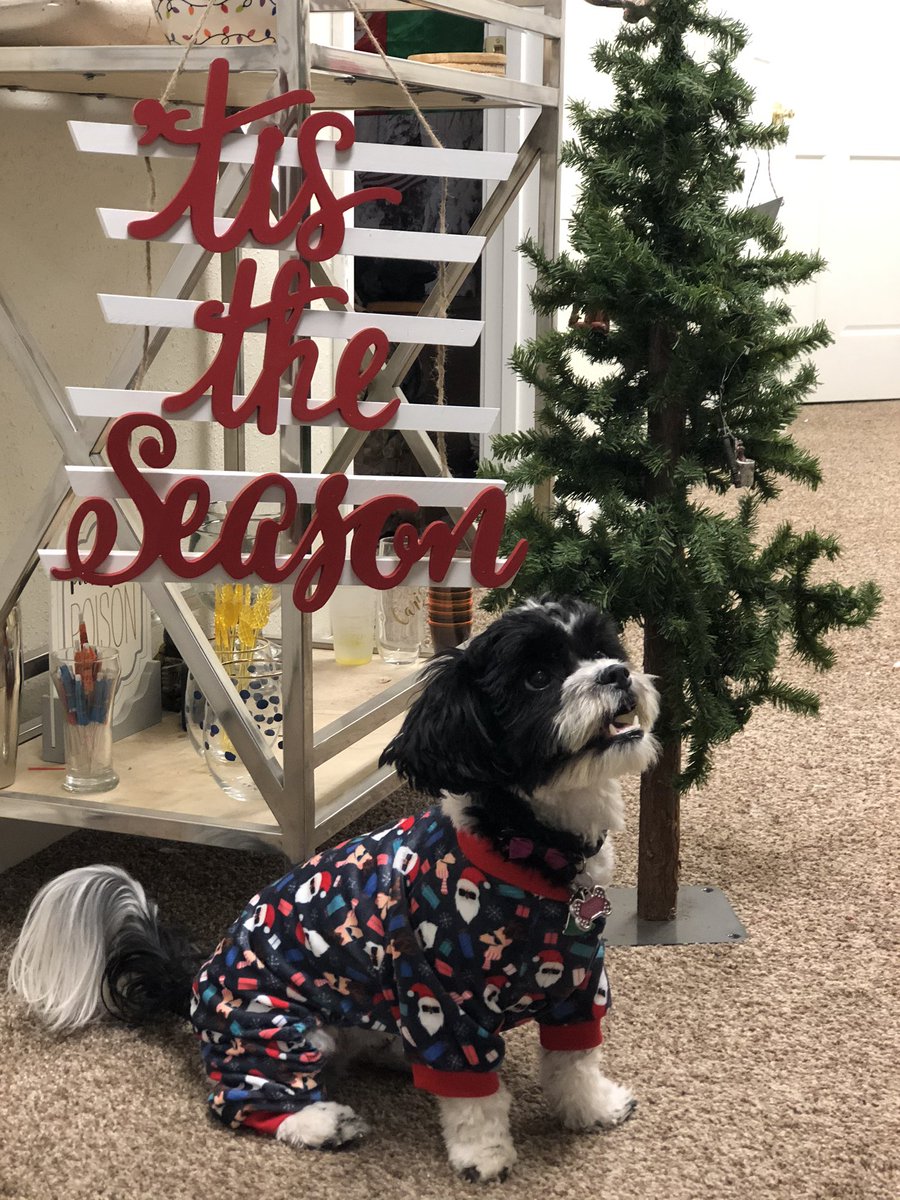 Caristmas's tweet image. She thought she heard Santa ❤️ #PrincessPoppy