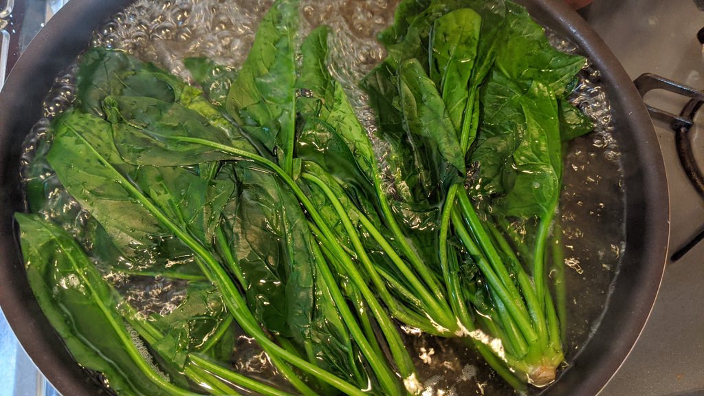 みー 3y2m 1y2m ほうれん草ペーストの作り方 離乳食初期 ほうれん草をよく洗い 熱湯で茹でる 熱湯から揚げ軽く水洗いする 包丁の背でこすように葉脈を取り除く ブレンダーでへースト状にする は省略してok ほうれん草ペーストは見た目 だ