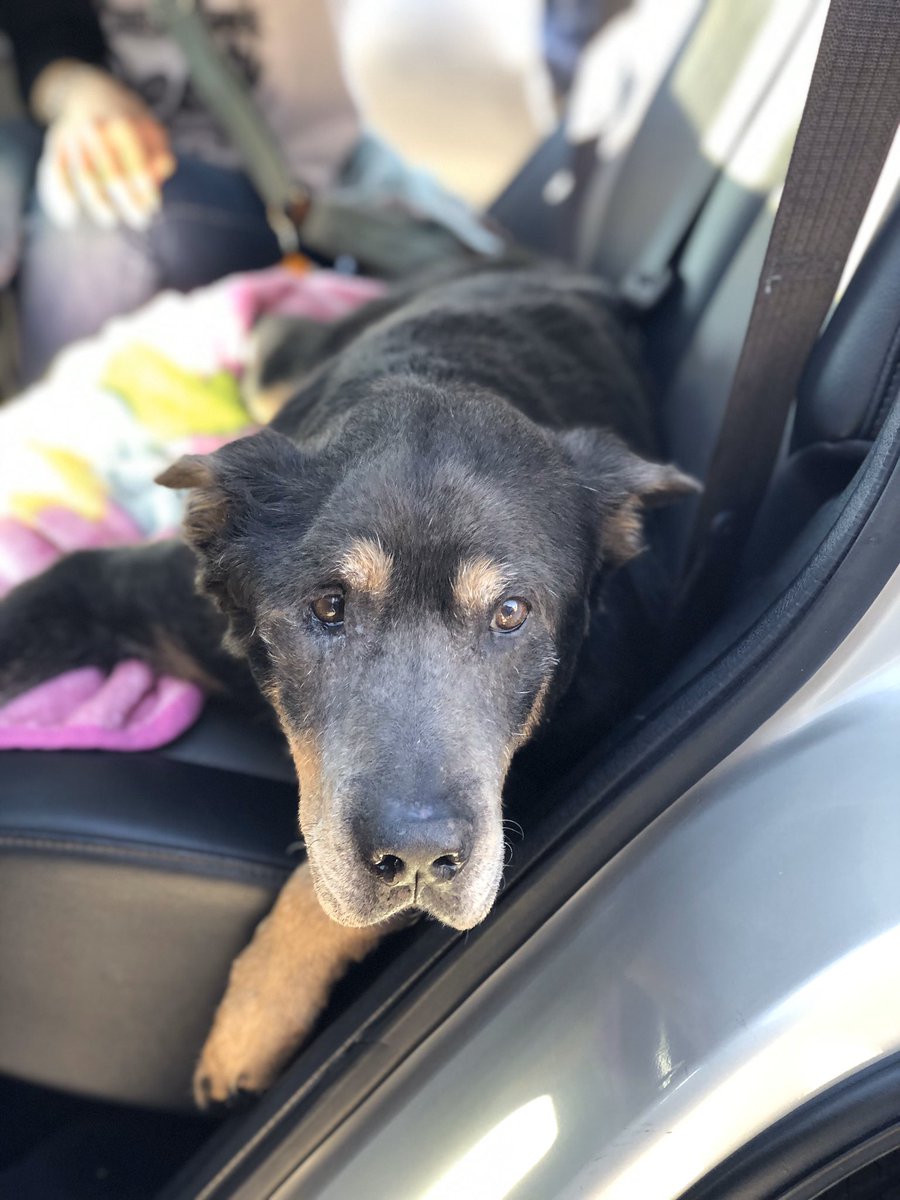 Madisonnnannn's tweet photo. Never dealt with something so hard. He knows he was loved. My baby had the biggest heart, just the sweetest. I love you handsome. We’ll miss you dearly.. https://t.co/MbOWuVOgCz