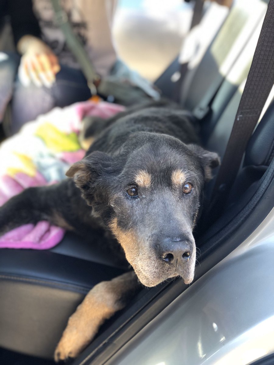 Madisonnnannn's tweet photo. Never dealt with something so hard. He knows he was loved. My baby had the biggest heart, just the sweetest. I love you handsome. We’ll miss you dearly.. https://t.co/MbOWuVOgCz