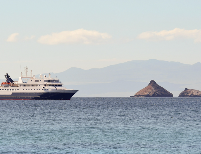 Apple News tweet media