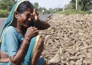 An old lady affected by #KarnatakaFloods waiting for the relief funds. She has lost her crop bcoz floods. Media is busy in praising Modi for #Article370 where Karnataka is suffering. Why this is not covered by Media??