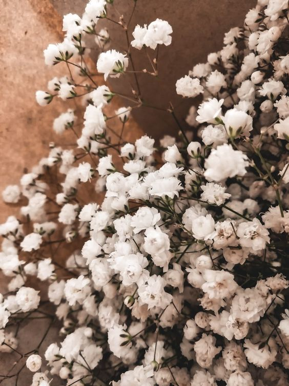 ✩‧₊˚ — ᴍʏ ᴅᴊᴀʀɪɴ — ✨🌿🌈 tweet media