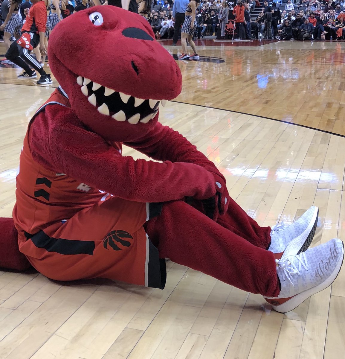 adidas raptors champion shoes