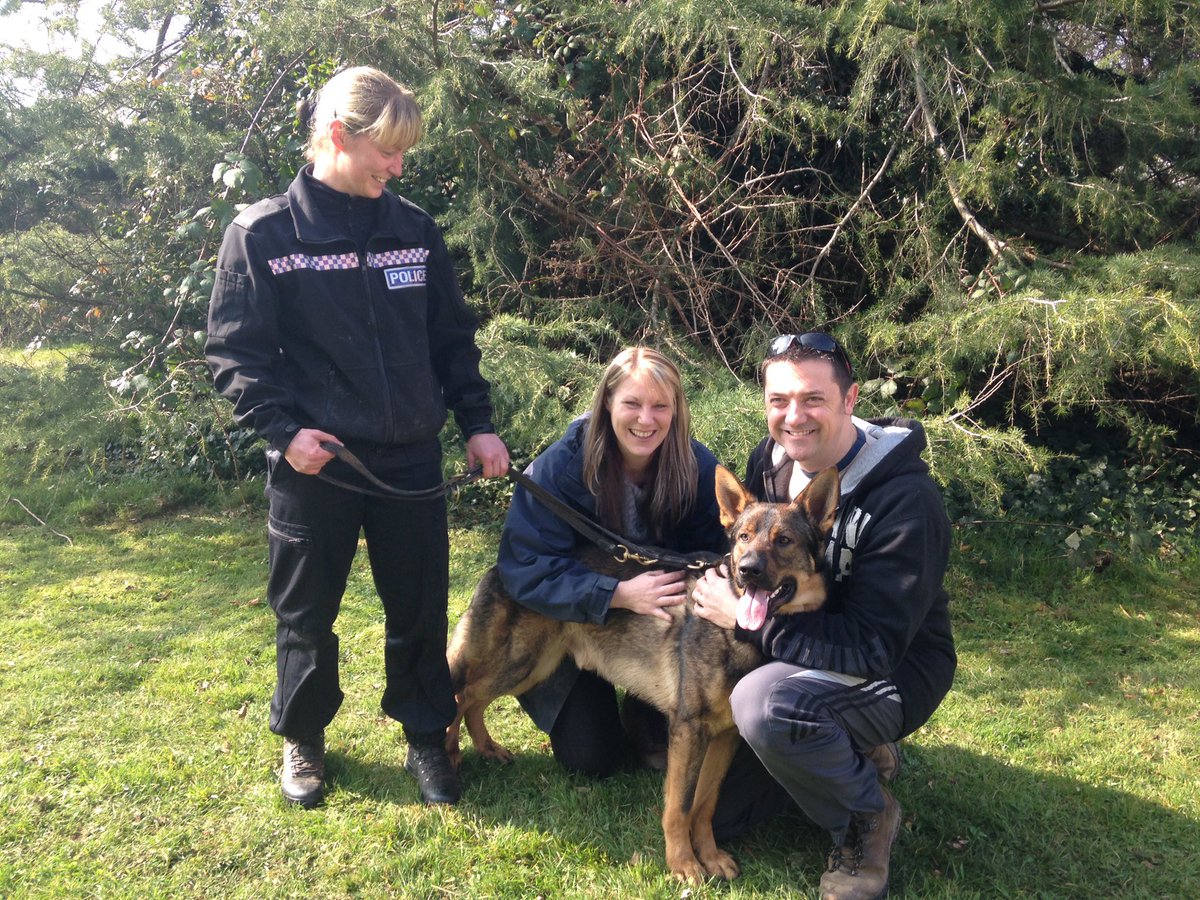 LadyLobby's tweet image. So before I head off to have our first born child today I have to wish our first police pup, the gorgeously handsome, mischievous monkey, PD Buddy (and all of B Litter) a very happy birthday. Loves ya Buds 😘 🐕 🐾 xx @DC_PoliceDogs