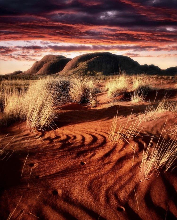 Northern Territory - Australia tweet media