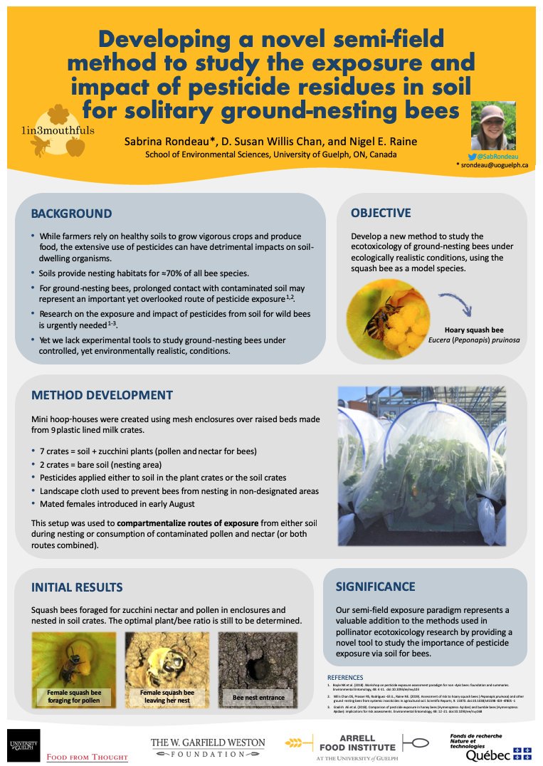 NigelERaine's tweet photo. Excited that @SabRondeau can present her research "Developing a novel semi-field method to study the exposure & impact of #pesticide residues in soil for solitary ground-nesting #bees" @SETAC_world's soil #biodiversity symposium in Brussels #Pollinators @Squash_Bee @1in3mouthfuls https://t.co/bvEuYnimYX
