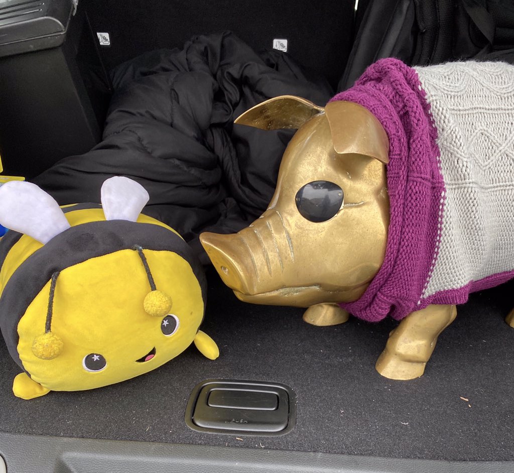 TakeThePig's tweet photo. I’ve been pignapped! Some guy stole me from G106 and threw me in the back of his vehicle with this bee....... https://t.co/PWoPWBMCNN