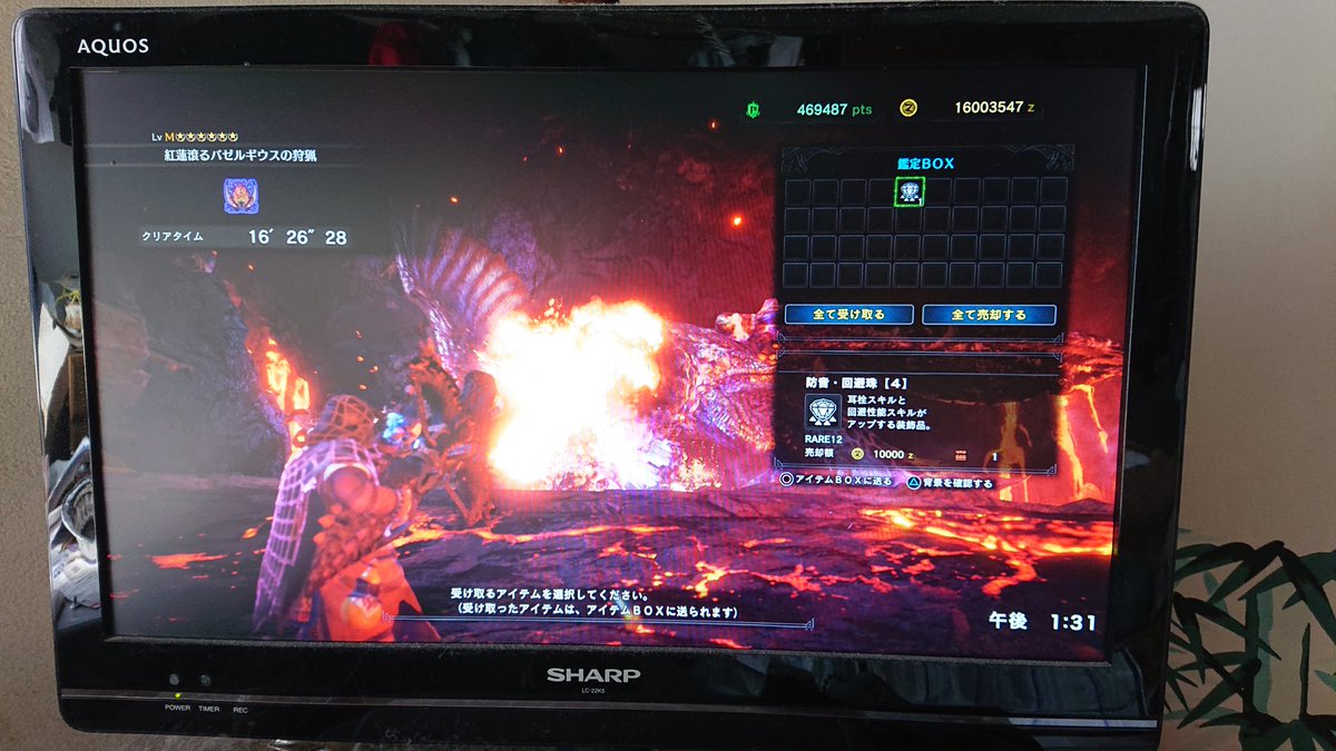 レア12装飾品 レア12装飾品