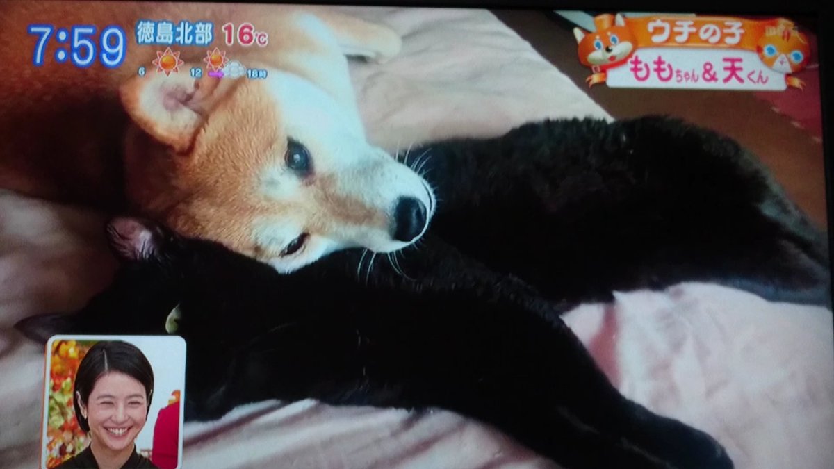 ももと天 ももと天