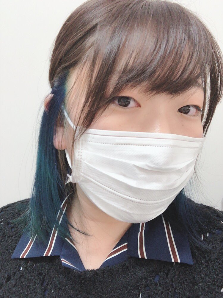 ヒーラギ Hiragi 087 Twitter