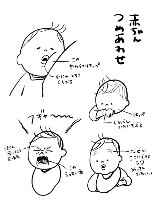 やる気が出ないので赤ちゃんを描いてます。
はー、癒し……✨✨ 
