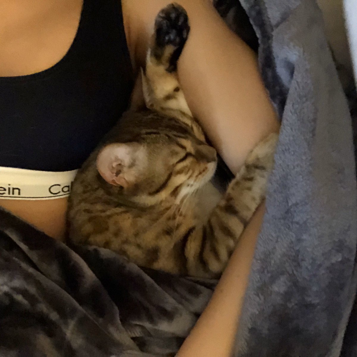 Kalel 🐱 tweet media