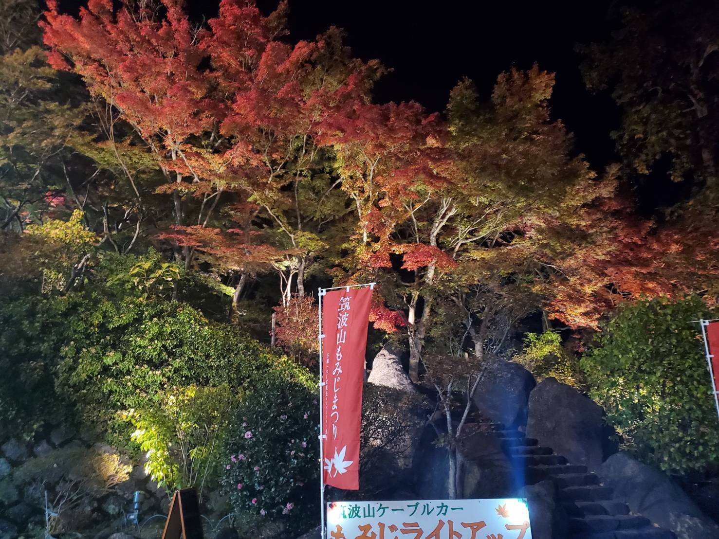 つくば観光コンベンション協会 筑波山紅葉 色づき情報 ケーブルカー宮脇駅周辺のもみじ の色づきが進んで 見頃間近 です 筑波山もみじまつり 今週は平日も もみじライトアップ 実施中 日程など詳細は T Co 3h4dfjsc4r T