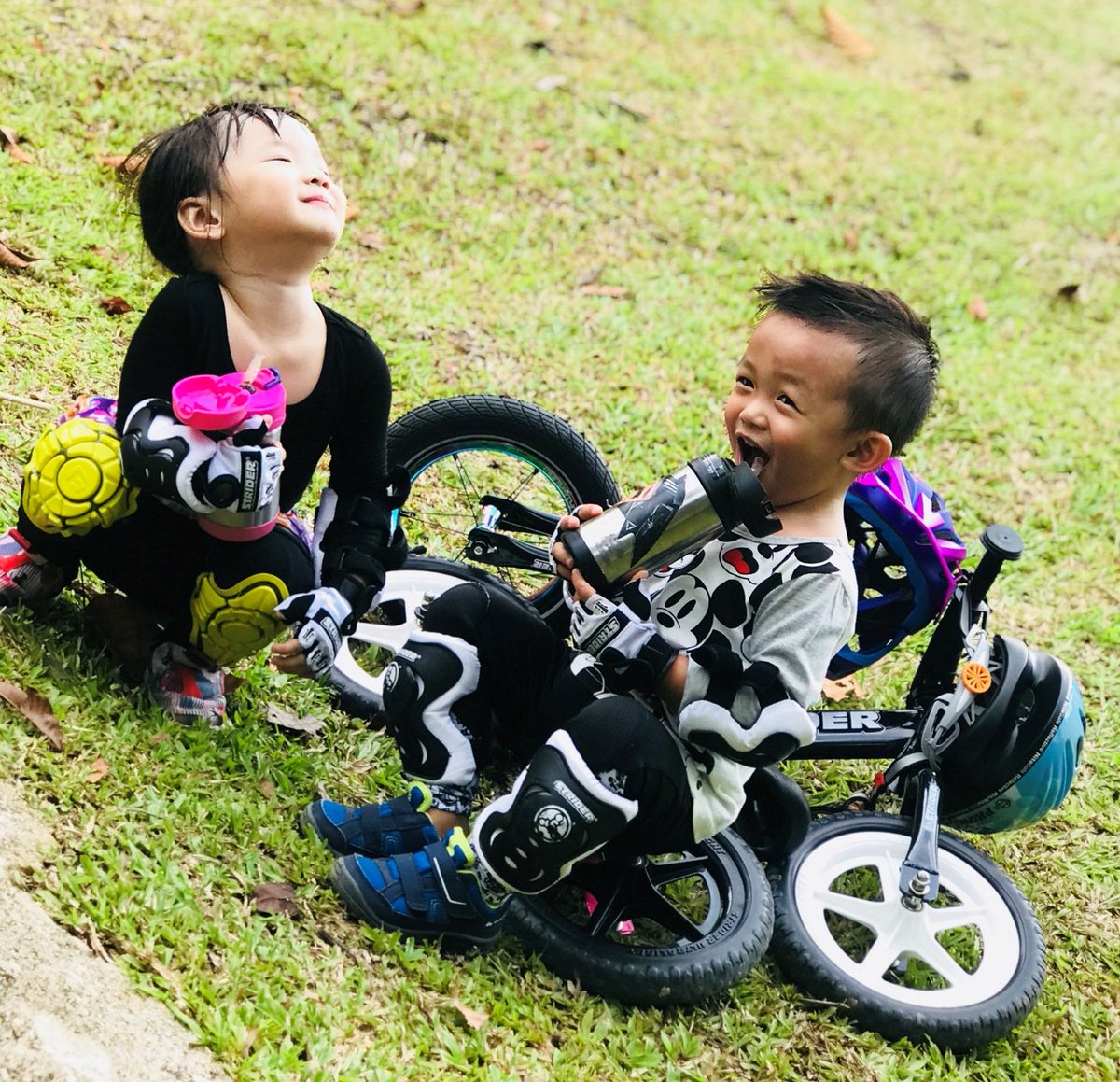 StriderBikesIN's tweet photo. Happiness is where your friend is #strideon #BalanceBike https://t.co/7gSnOM5DYE