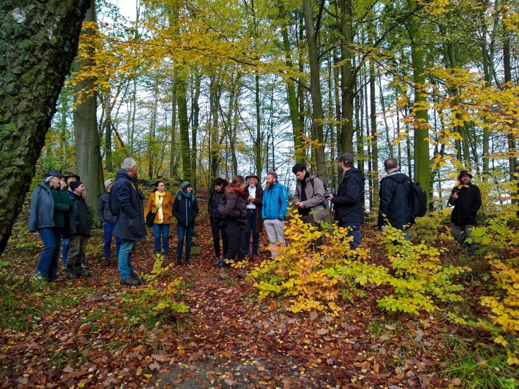 BEECHPOWER's tweet photo. During European Forest Week, a 2-day Citizens Engagement event ‘Discover Beech Symposium‘, was held in Eberswalde, Germany.
Read below! https://t.co/FFGNzY9aKK https://t.co/rJjlkdlCJY