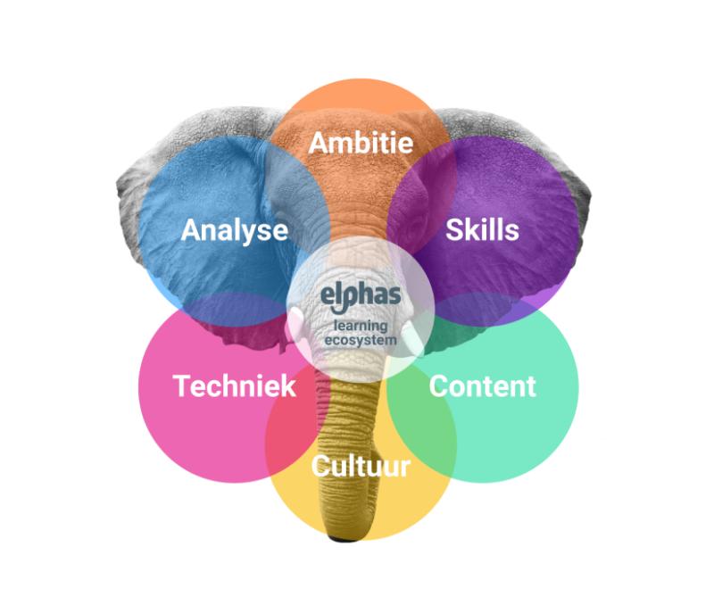 Hoe breng je de kwaliteiten van je team en de kennisbehoefte van je organisatie in kaart, zodat je #elearning effectief en persoonlijk inzet? Juist, met deze 6 stappen:
1. Ambitie
2. Skills
3. Content
4. Cultuur
5. Techniek
6. Analyse
elphas.ai/elphas-methode/
#ai #futureworkforce