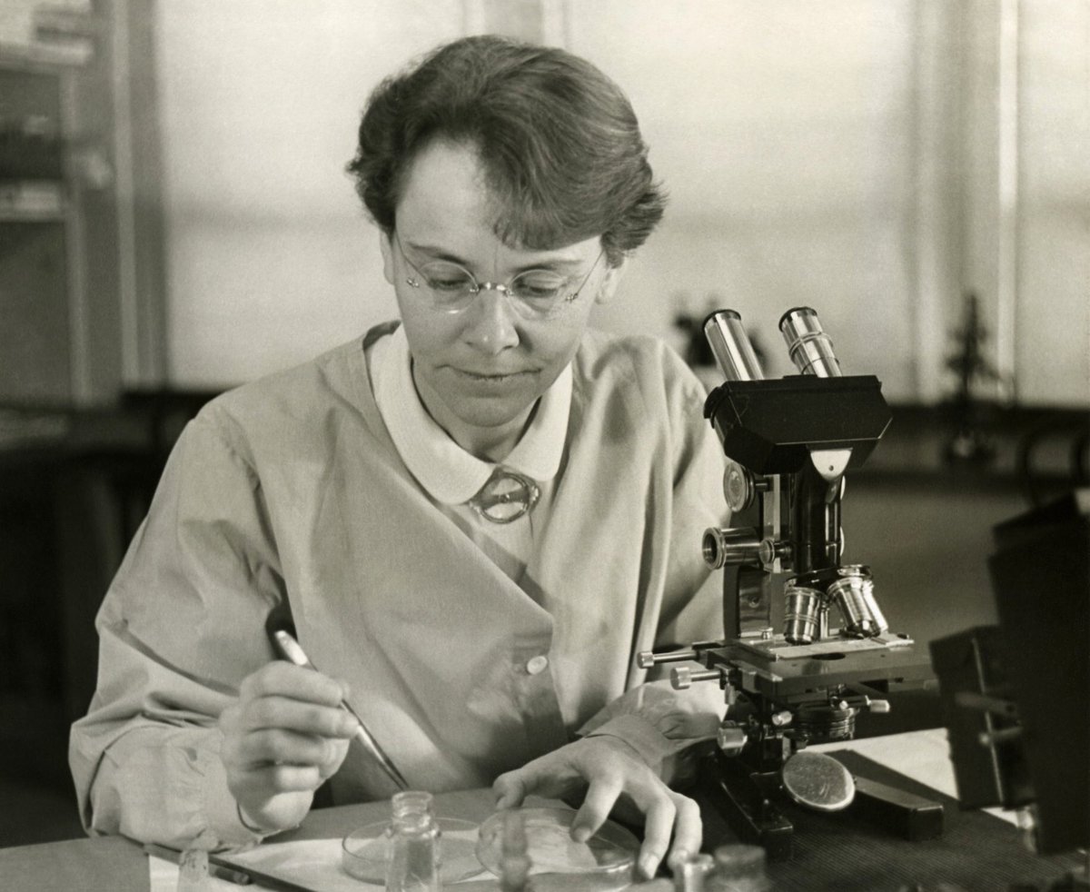 RewildingKate's tweet photo. Barbara McClintock discovered transposable elements (jumping genes) when experimenting with color mutations of maize kernels in the 1940s. Being a female geneticist, she received little recognition until she was finally awarded the Nobel Prize in 1983. #WomenInScience #2019EBE https://t.co/onTAv1eI6D
