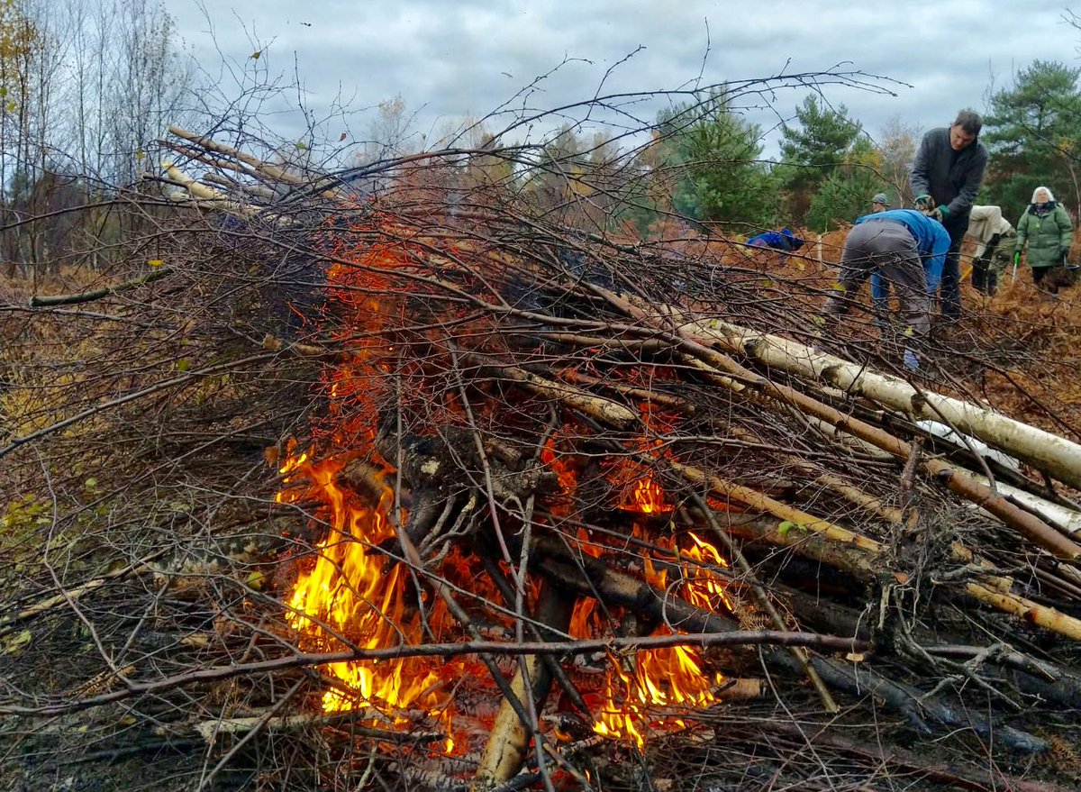 The Warden (@horshamwildlife) on Twitter photo Horsham Green Gym are busy this morning at Owlbeech Woods. Today they are birch pulling in Old Heath to improve the heathland for rare species such as Nightjars and Woodlarks. Great effort! #OurDay <a href="/HorshamDC/">Horsham District Council</a> Horsham Green Gym are busy this morning at Owlbeech Woods. Today they are birch pulling in Old Heath to improve the heathland for rare species such as Nightjars and Woodlarks. Great effort! #OurDay <a href="/HorshamDC/">Horsham District Council</a>