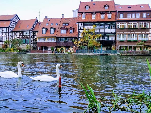 Hamzaz92's tweet photo. Just chilling on the Regnitz
.
.
.
.
.
.
.
.
.
.
.
.
.
.
.
.
.
.
.
.
.
.
.
.
.
.
.
.
.
.
.
.
.
.
.
.
.
.
.
#water #river #travel #lake #canal #building #reflection #house #architecture #noperson #city #outdoors #family #pool #swan #town #street #sky #sig… https://t.co/k262DiturX https://t.co/gd08sIgAlw