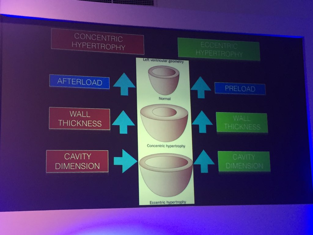 SSharmacardio's tweet photo. Pleasure to be presenting at the #BASES 2019 conference with @oxborough77 today to highlight the impact of exercise on sport #basesuk https://t.co/hWHjfry0Wj