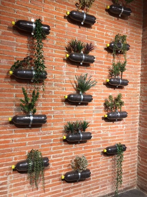 OHERE_CLUB's tweet photo. Brick walls and soil-filled bottles are the perfect backdrop for thinking outside the box...😉
#think #creativity #brickwall #OHERE https://t.co/DmQuWZgqt0