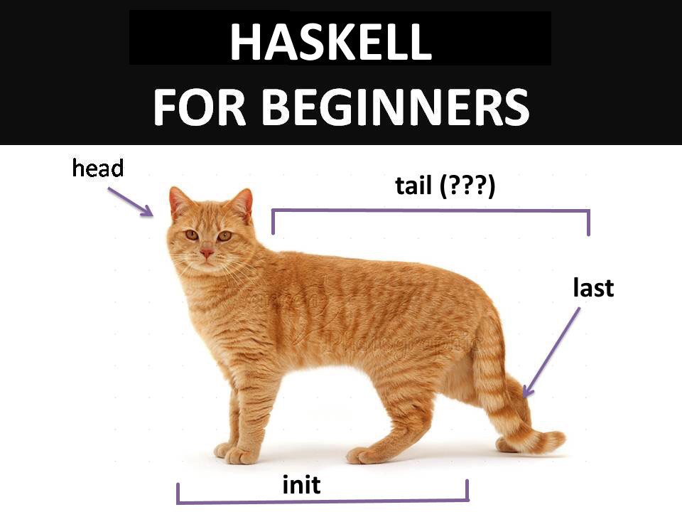 Igal Tabachnik tweet media