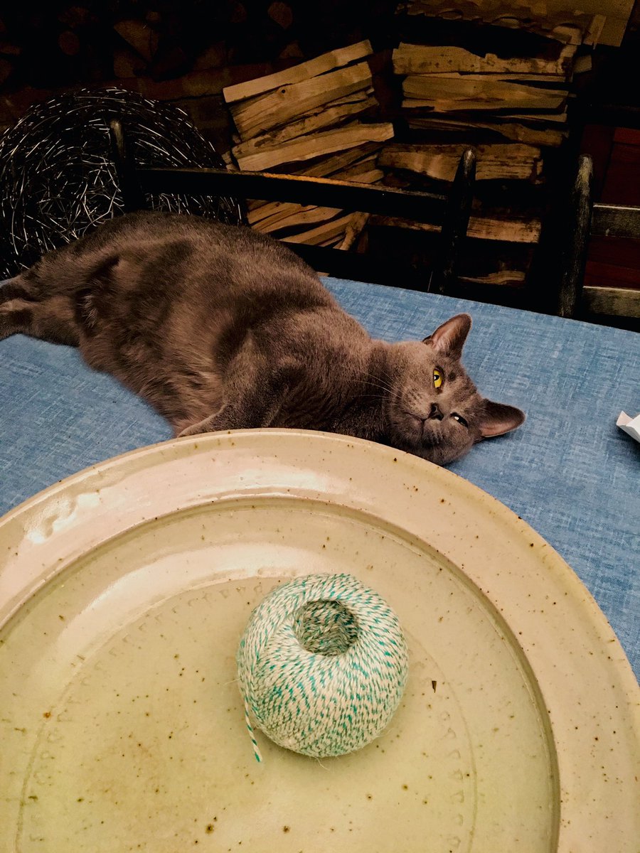 Alan is very much feeling herself today. We hope you are too.