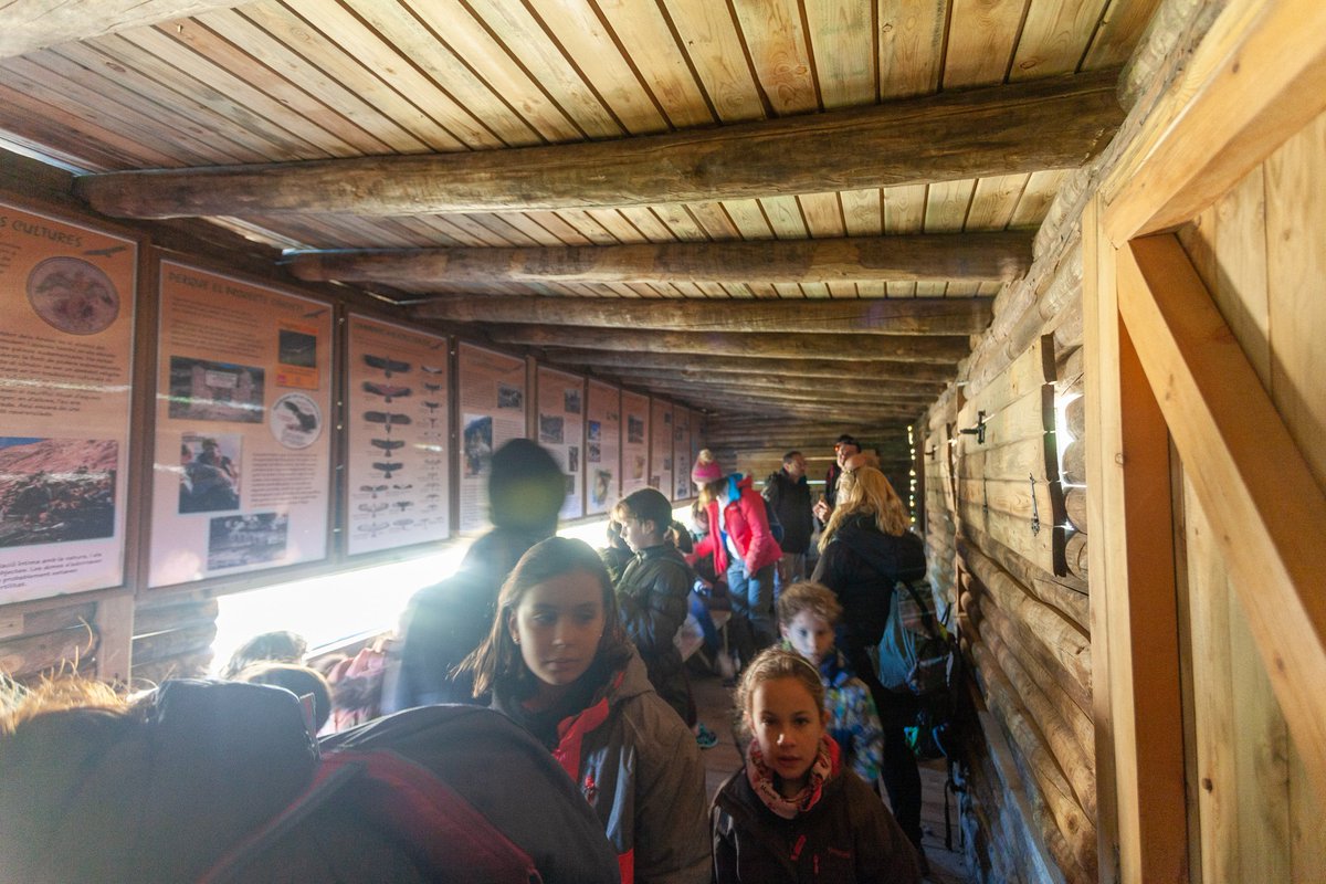 AlcoiMedi's tweet photo. 🦅🦅Diumenge passat es va realitzar la visita al PROJECTE CANYET, amb l'assistència de 34 persones, que van fer l'excursió per a conéixer els voltors. 🤩🤩
#ParcNaturalSerraDeMariola #Voltors #projecteCanyet @AjuntamentAlcoi @GVAparcs https://t.co/tPZHAKbCYl