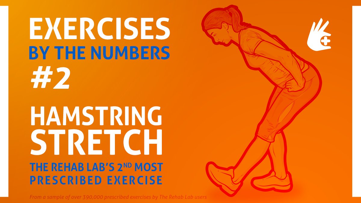 TheRehabLab's tweet image. The Rehab Lab's most prescribed exercises showed that the second most frequently prescribed exercise is the hamstring stretch. Do you have a particular hamstring stretch that you prefer, and why? 

#TheRehabLab #Top10 #Exercises #HamstringsStretch #HamstringStrain #ExerciseRehab