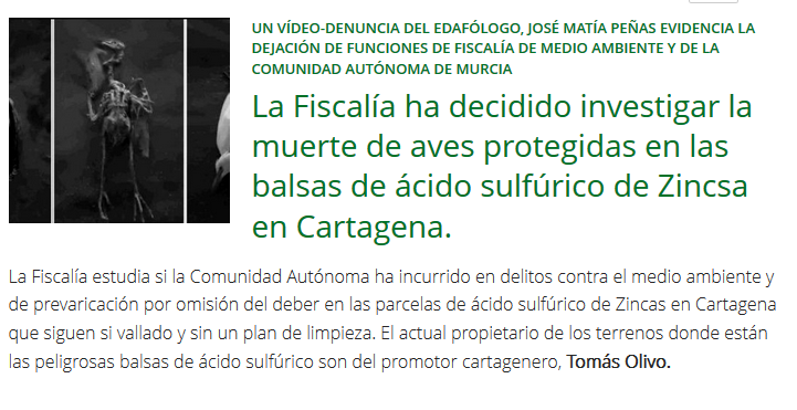 RosaRodaNews tweet picture