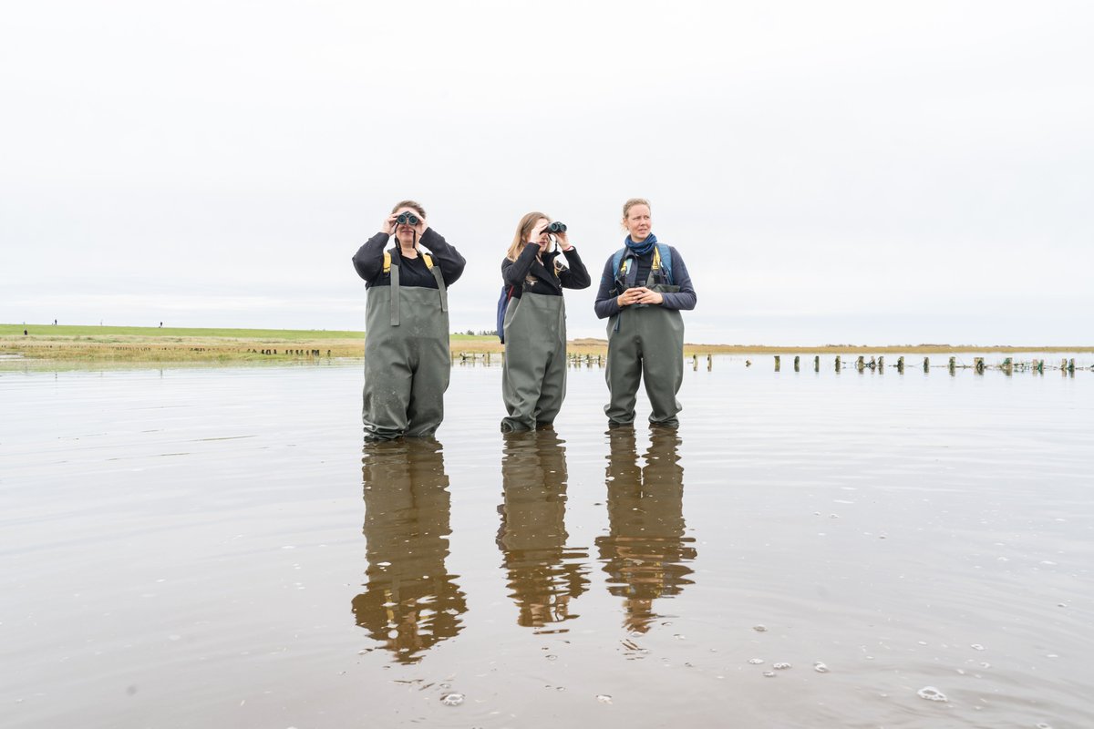 Irina Graf tweet media