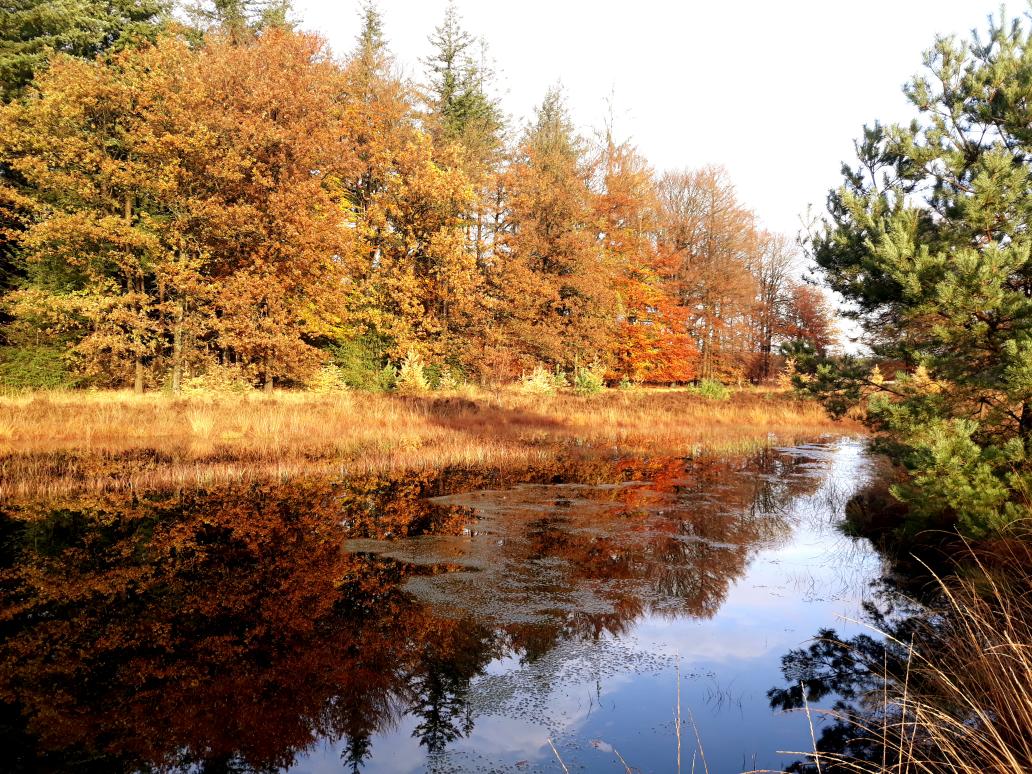 #HartvanDrenthe <a href="/NPDRENTSCHEAA/">Nationaal Park Drentsche Aa</a>