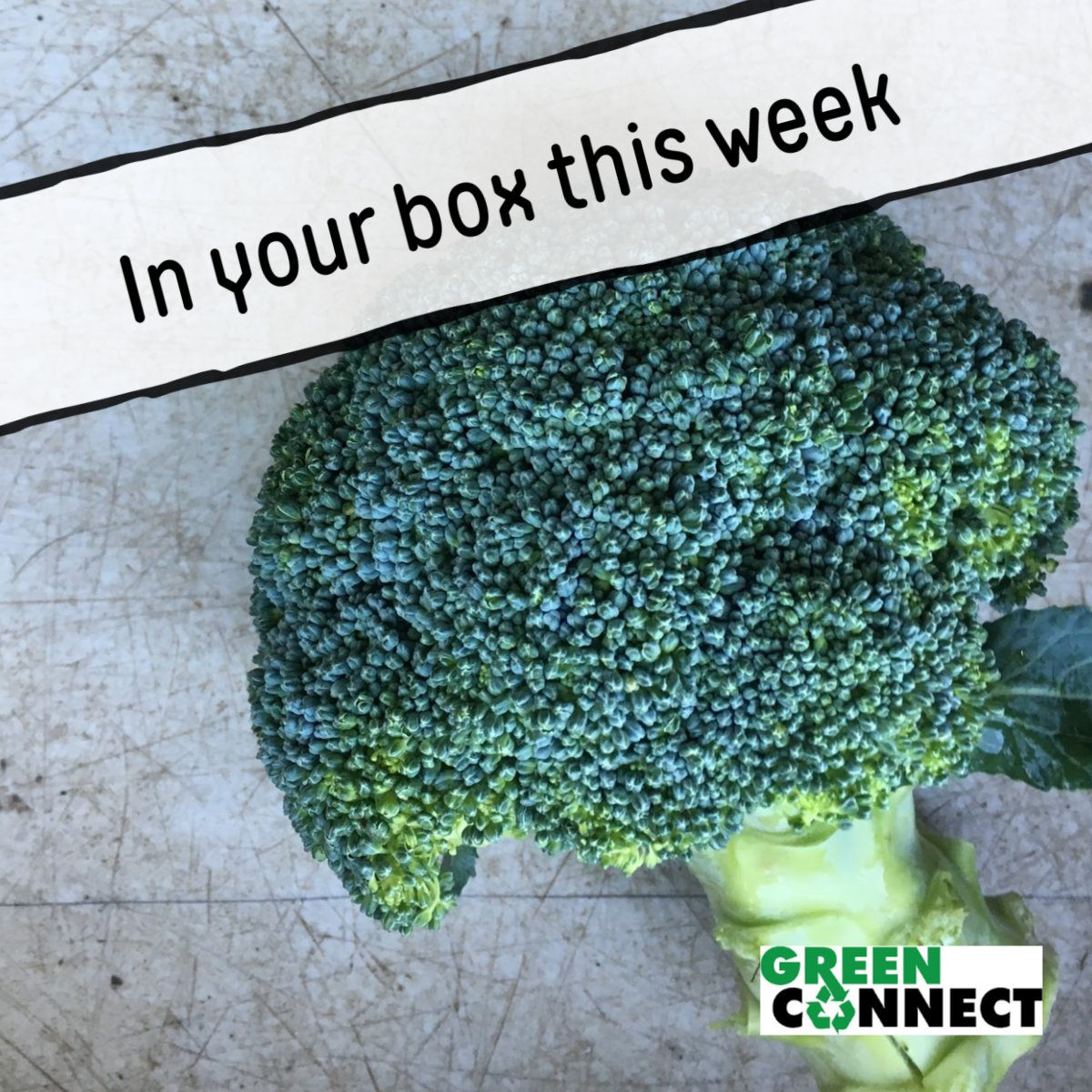 Green Connect tweet media