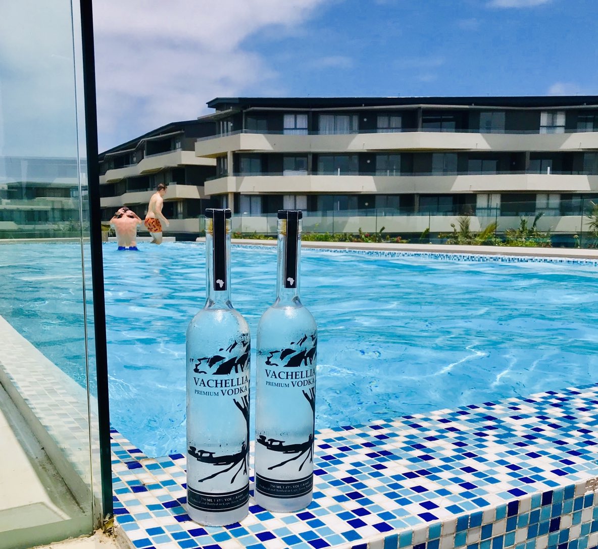 Bright sunny day ☀️🍸 #Vachellia #VachelliaPremiumVodka #VodkaShots #VodkaLovers #premiumvodkadrink #vodka #africa #DrinkVachelliaDrinkLuxury #southafrica  #premiumspirits #premium