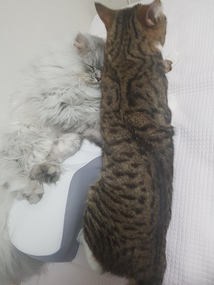 grainbb_'s tweet photo. 씨발 회사 진짜 개좆같아서 만동자 본다 https://t.co/vQEIW2m6vH